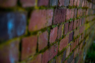 horizontal brick