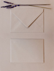 Blank brown envelopes on brown background
