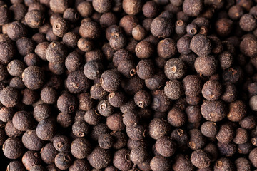 Allspice english pepper berries on from above