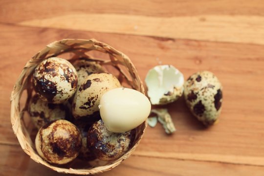 quail eggs and yolk