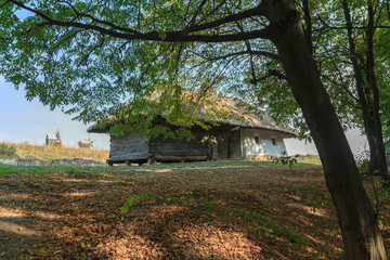 Fototapeta na wymiar Old house of peasants in the shade of trees. Pirogovo, Ukraine