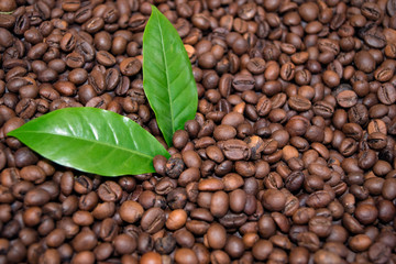 Roasted Coffee Beans Espresso and green leaf Coffee