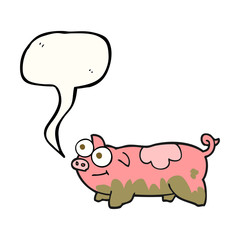 speech bubble cartoon pig