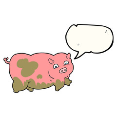 speech bubble cartoon pig