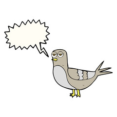 speech bubble cartoon pigeon