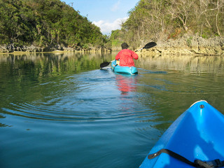 Kayaking around pristine rainforest