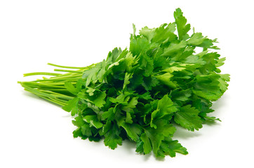 Fresh parsley on white background