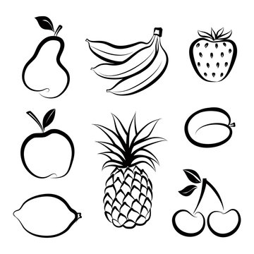 Fruit icon set. Hand drawn sketch collection of fruita and berry