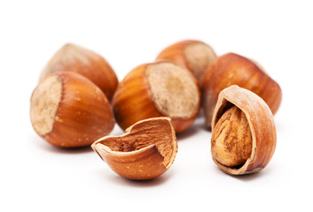 Hazelnuts on white background