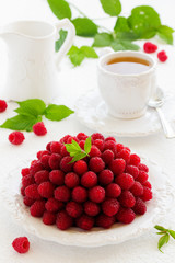 Chocolate raspberry mousse cake 