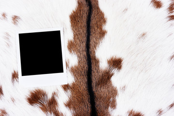 Photo frame on animal skin 