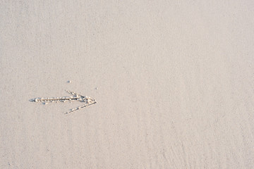 The arrow pointer on the sandy beach.