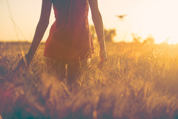 Sexy young Girl at sunset in fields touching corn.