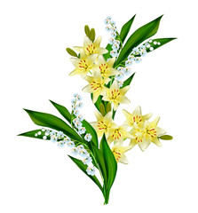 Flower lily isolated on white background.