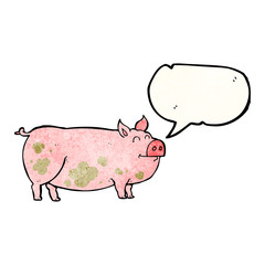 speech bubble textured cartoon muddy pig
