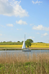 Fototapeta premium Segler auf der Schlei