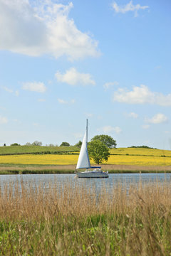 Segler auf der Schlei