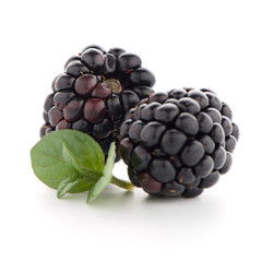 Blackberries with leaves