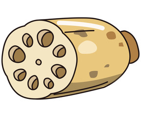 野菜　レンコン