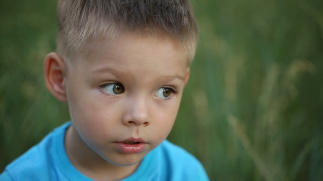 Portrait of a boy on nature