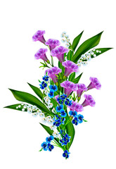 Fototapeta na wymiar blue flowers campanula isolated on white background