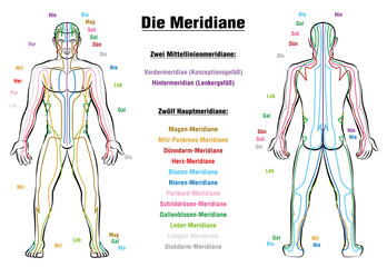 Meridian System Description Chart GERMANMeridian System Chart - GERMAN LABELING!- Male body with acupuncture meridians, anterior and posterior view. - obrazy, fototapety, plakaty