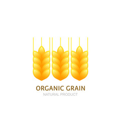 Wheat ears logo, icon or label vector design elements.