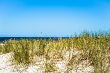 Grass sand dune beach sea view, Leba, Baltic Sea, Poland 