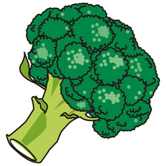 野菜　ブロッコリ