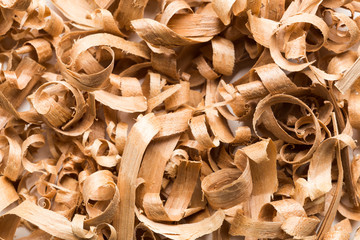 Wood shavings