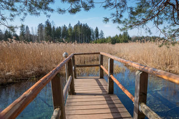Obraz premium Holzsteg an der blauen Gumpe - Osterseen Oberbayern