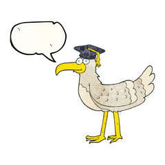 speech bubble textured cartoon seagull with graduate cap