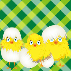 Chickens on checkered