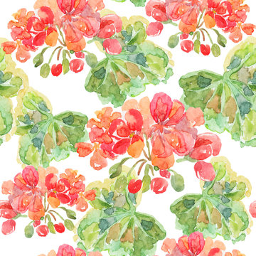 Red pelargonium flowers with green leaves on the striped background. Watercolor seamless pattern.