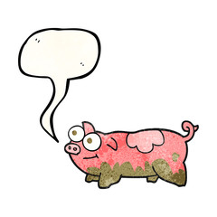 speech bubble textured cartoon pig