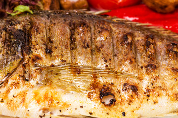 Closeup of delicious grilled dorado fish.