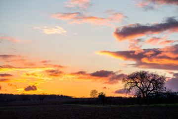 Sonnenuntergang über den Feldern und Obstplantagen von Rheinhessen