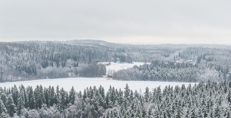Wintry forest landscape with frozen lake and snowy forest in Finland