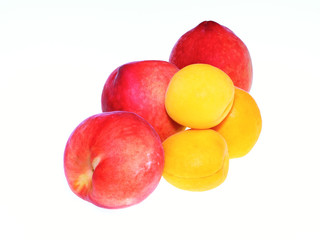 peaches and apricots