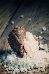 Sea salt and seashell, selective focus