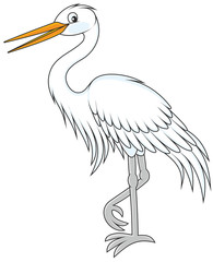 Fototapeta premium Egret