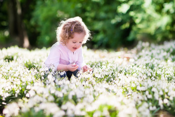 Little girl in sunny flower field