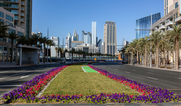Flower in Dubai