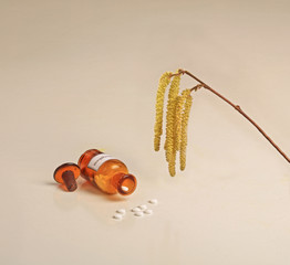 Pollenflug Haselblüte