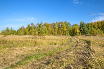 Fototapeta na wymiar Autumn rural landscape with road