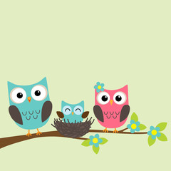 Family of owls