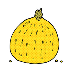 cartoon squash