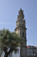 Fototapeta na wymiar An olive tree and the Clerigos tower in Porto, Portugal