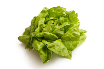 Lattuga fresca su fondo bianco