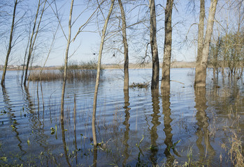 Park of Pateira de Fermentelos
